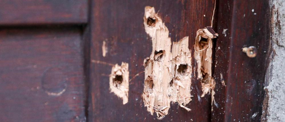 Die Tür der Synagoge in Halle weist Spuren von Beschuss auf.