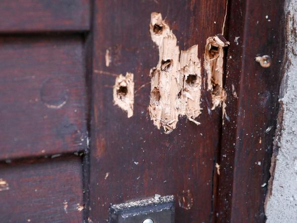 Halle: Die Tür der Synagoge in Halle weist Spuren von Beschuss auf. 