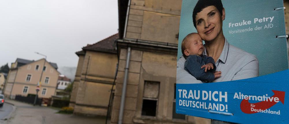 Ein Wahlplakat mit Frauke Petry an einer Laterne in Rathmannsdorf (Sachsen), im Hintergrund das stillgelegte Bahnhofsgebäude.