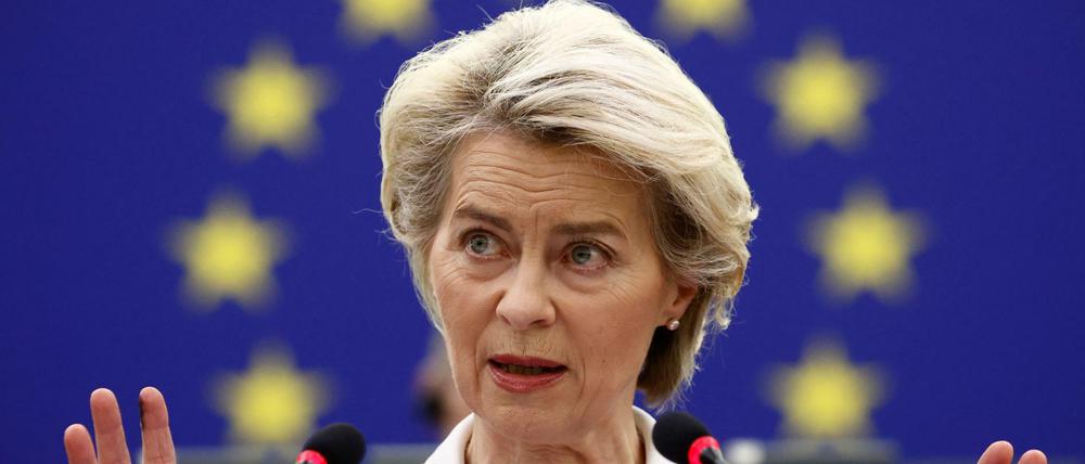 Ursula von der Leyen, Präsidentin der Europäischen Kommission, hatte im Sommer einen sogenannten Green Deal in der EU-Agrarpolitik versprochen.
