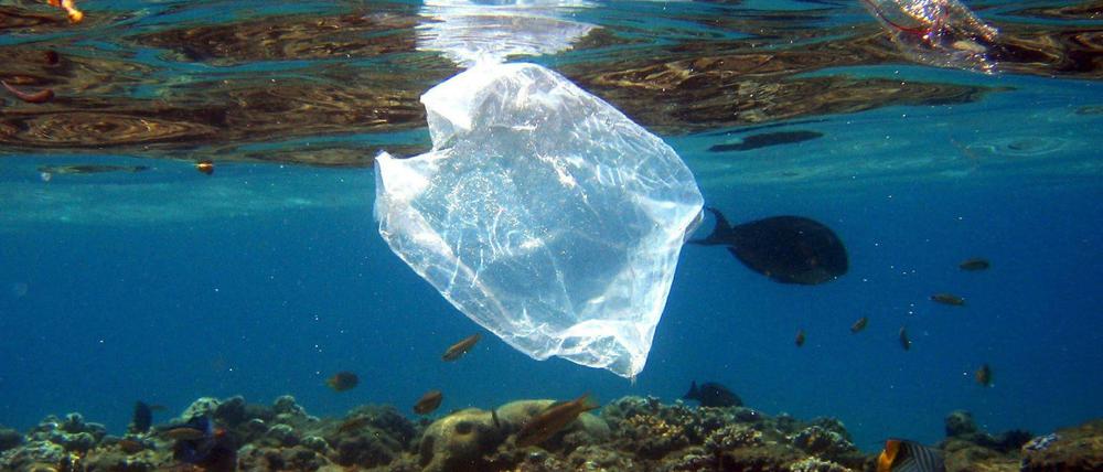 Eine Plastiktüte im Meer.