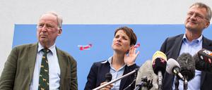 Die AfD-Führungsriege: Alexander Gauland, Frauke Petry und Jörg Meuthen (von links).