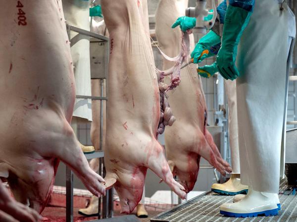 Das Corona-Kabinett berät heute, ob es strengere Regeln für Fleischbetriebe braucht - und wenn ja, welche. 