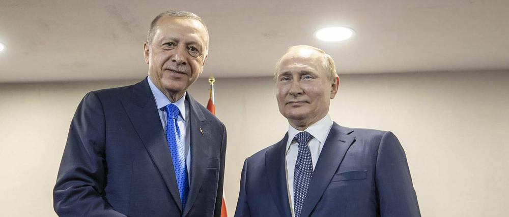Recep Tayyip Erdogan und Wladimir Putin (v.l.).