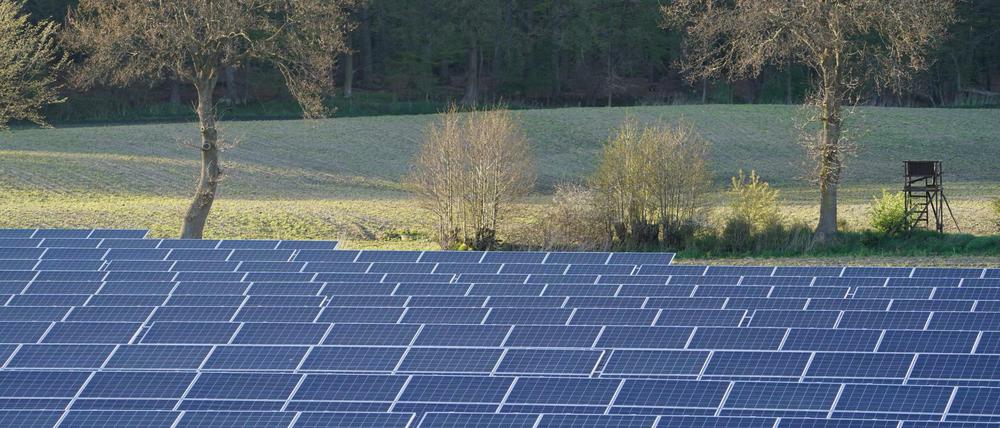 Photovoltaik-Anlagen stehen in einem Solarpark in Schleswig-Holstein.