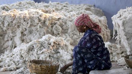 Sollen deutsche Firmen haftbar gemacht werden, wenn die Baumwolle ihrer Textilien unter unfairen Bedingungen produziert wird? Darum geht es beim Streit ums Lieferkettengesetz.