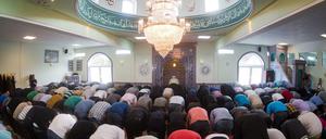 Die meisten Muslime, hier in der Moschee Eyüp Sultan Camii in Ronnenberg bei Hannover, sind moderat. 