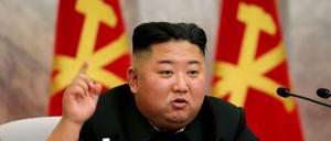 Der 36-jährige Kim Jong Un herrscht in Nordkorea.