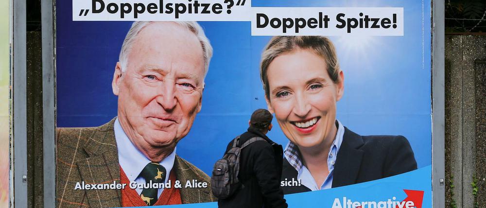 Die AfD liegt nach neuesten Umfragen nur noch acht Prozent hinter der SPD.