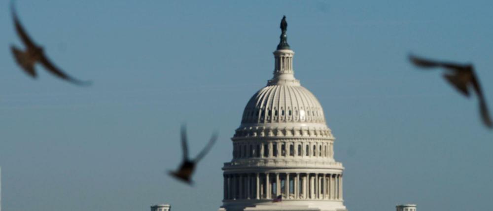 Hier entscheidet sich die Handlungsfähigkeit der Regierung: das Kapitol in Washington.