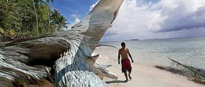 Dem Untergang geweiht. Tepuka Island gehört zum Südsee-Inselstaat Tuvalu. Der Anstieg des Meeresspiegels gefährdet diese Inseln. Auf manchen Inseln binden sich Bewohner bei Sturmwarnungen hoch oben auf Palmen fest, bis das Wasser sich wieder zurückzieht. 