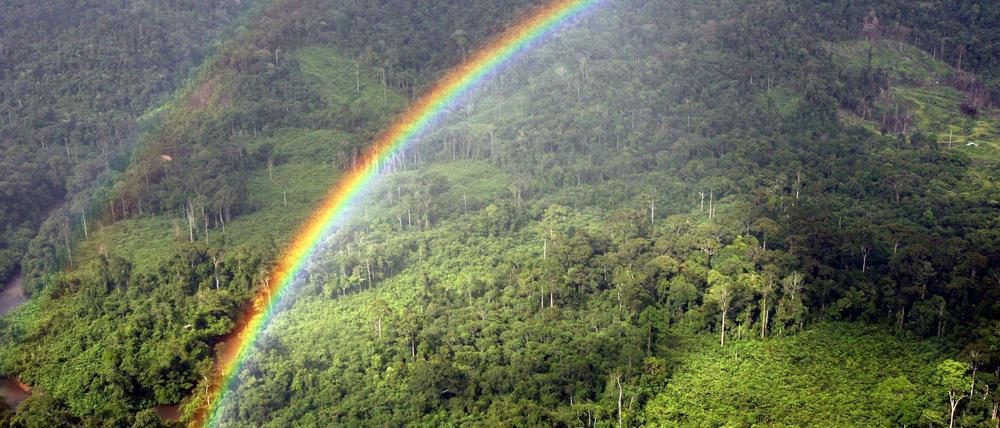 Regenbogen über dem Regenwald in Malaysia.
