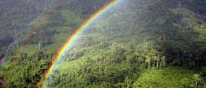 Regenbogen über dem Regenwald in Malaysia.