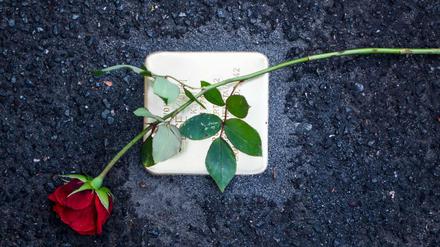 Gedenken an NS-Opfer: Eine Rose auf einem Stolperstein 