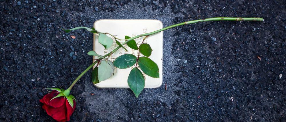 Gedenken an NS-Opfer: Eine Rose auf einem Stolperstein 