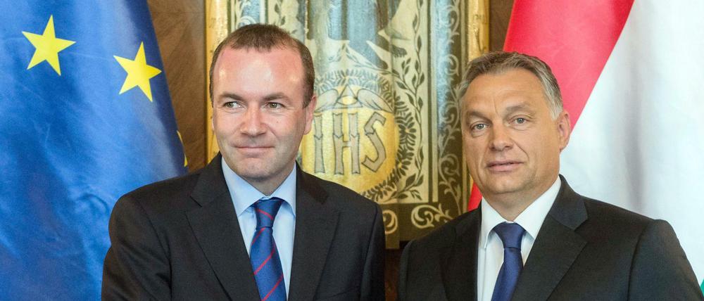 Einst marschierten sie Seit' an Seit'. Viktor Orban (rechts), Ministerpräsident von Ungarn, und Manfred Weber, Vorsitzender der Fraktion der Europäischen Volkspartei (EVP).