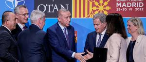 Der türkische Präsident Recep Tayyip Erdogan reicht der schwedischen Außenministerin Ann Linde die Hand.