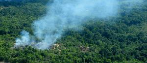 Rauch steigt aus dem Wald in einer Region des Amazonas auf.