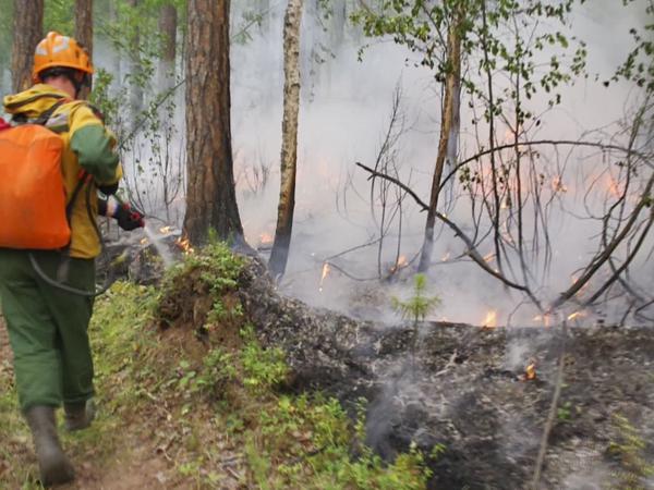 Mitarbeiter des russischen Luftwaldschutzes bei der Bekämpfung der Brände in Krasnojarsk.