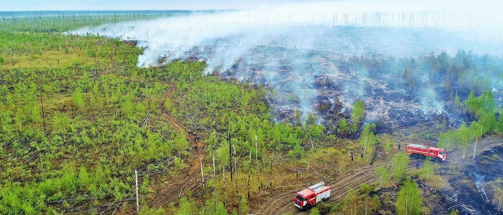 Ein Waldbrand im Naturschutzgebiet im Bezirk Temnikovsky. Die Waldbrandsituation in Russland nimmt immer dramatischere Ausmaße an. 