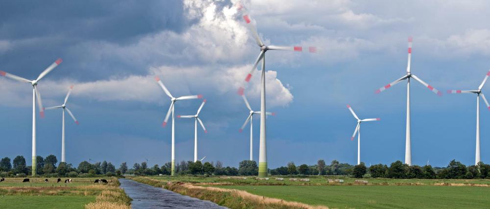 Das deutsche Erneuerbare-Energien-Gesetz war ein "Exportschlager"