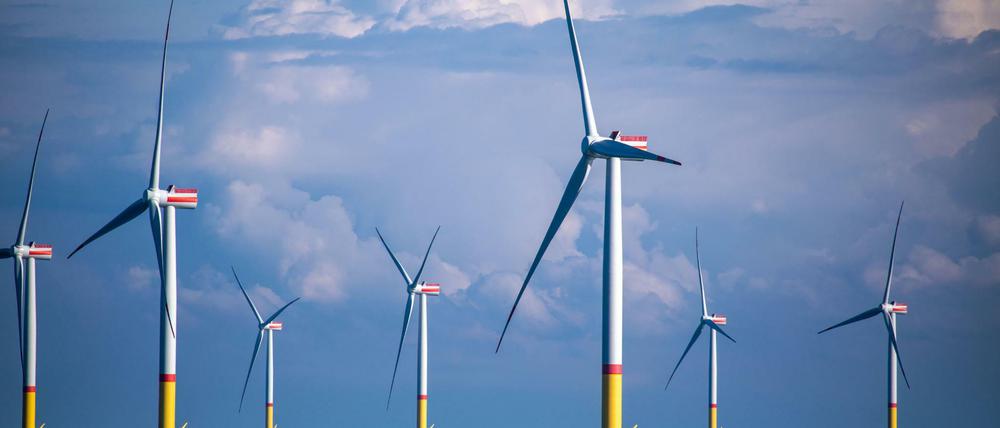 Erneuerbare? Ja, bitte. Die Mehrheit der Deutschen ist für mehr Windräder und andere Öko-Energieformen.
