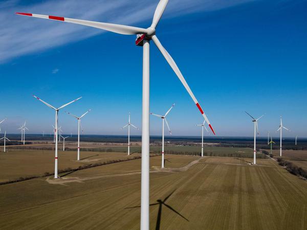 Ein Windpark in Brandenburg