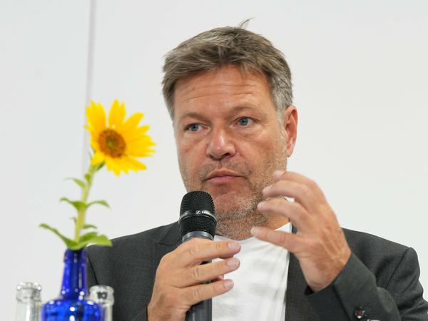  Bundesminister für Wirtschaft: Robert Habeck (Grüne).