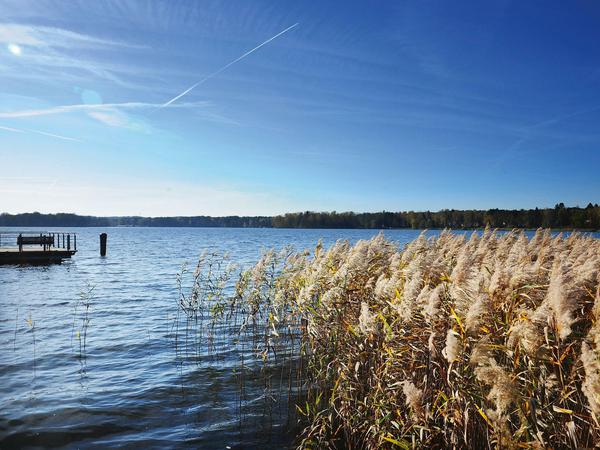Einer der schönsten Seen in ganz Brandenburg: der Scharmützelsee bei Bad Saarow.