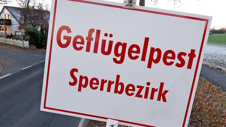 In der vergangenen Woche wurde der Vogelgrippe-Erreger in eienm Nutzflügelbestand in Neuruppin entdeckt, diese Woche wurde der Erreger im Landkreis Dahme-Spree nachgewiesen.