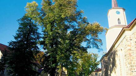 Ländlich und metropolnah. Seit 2007 wird Teltows historische Altstadt saniert. Rund um Kirche und Marktplatz erstrahlt sie bereits in früherem Glanz. Von dort kommt man in 30 Minuten in die Berliner Innenstadt.