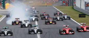 Zu viele Fehler: Nico Rosberg (l.) und Lewis Hamilton (2.v.l.) patzten bereits beim Start am Hungaroring. 