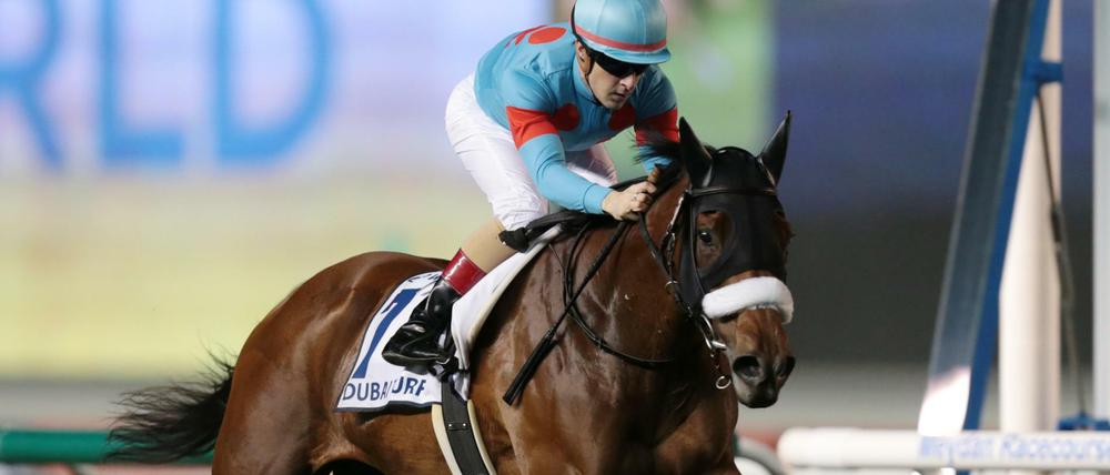 Horse Racing - Dubai World Cup - Meydan Racecourse, Dubai, United Arab Emirates - March 30, 2019 Almond Eye ridden by Christophe Lemaire wins the Dubai Turf Sponsored By Dp World REUTERS/Christopher Pike