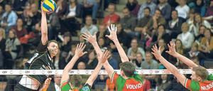 Wiederholung erwünscht. In der vergangenen Saison bezwangen die Volleys in der Gruppenphase den späteren Champions-League-Sieger Nowosibirsk.