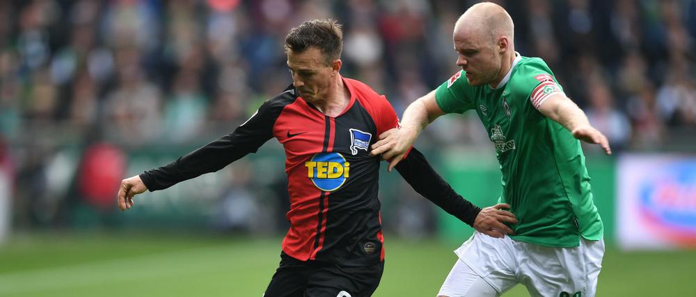 Zwei Wege, ein Ziel: Vladimir Darida und Hertha BSC (links) wollen wie Davy Klaassen und Werder Bremen wieder nach oben.