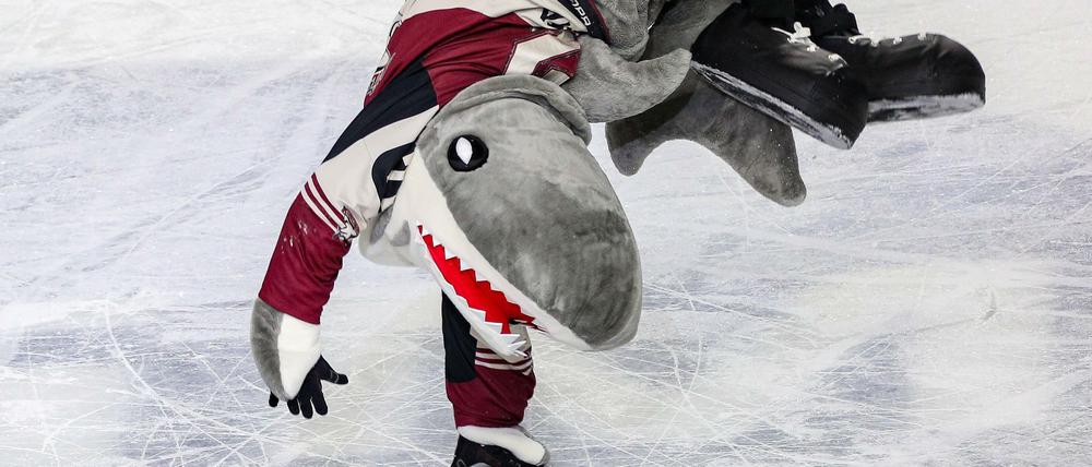 Auch Maskottchen Sharky jubelt über den ersten Titel der Kölner Haie.