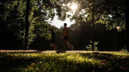 Zwei Jogger im Tiergarten: Unserem Autor hilft das Laufen über Trauer hinweg.