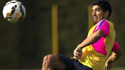Reizfigur: Luis Suarez im Training beim FC Barcelona.