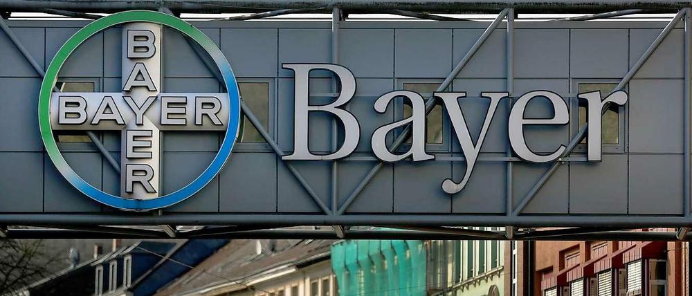 Das Geschäft bei Bayer brummt - vor allem dank der Pharma-Sparte, die für Berlin extrem wichtig ist. 