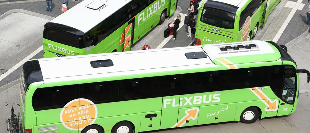 Busse des Unternehmens Flixbus stehen am Hauptbahnhof in Frankfurt am Main.
