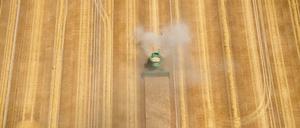 Brandenburg, Schönefeld: Ein Mähdrescher zieht in einer großen Staubwolke seine Bahn über ein fast abgeerntetes Getreidefeld.