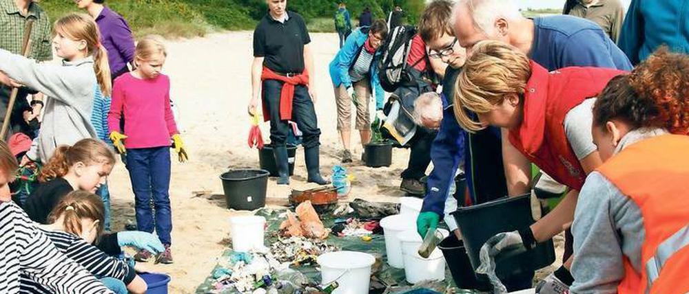 Bürger machen Wissenschaft: Beim Coastal Cleanup Day reinigten Schüler und Wissenschaftler den Strand an der Kieler Förde.