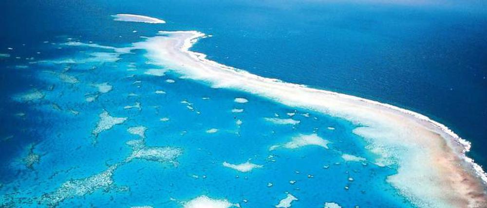 Bedrohte Natur. Das Great Barrier Reef vor der Küste Australiens. Die Erderwärmung bedroht auch die Artenvielfalt im Ozean, auf Atollen und Inseln. 
