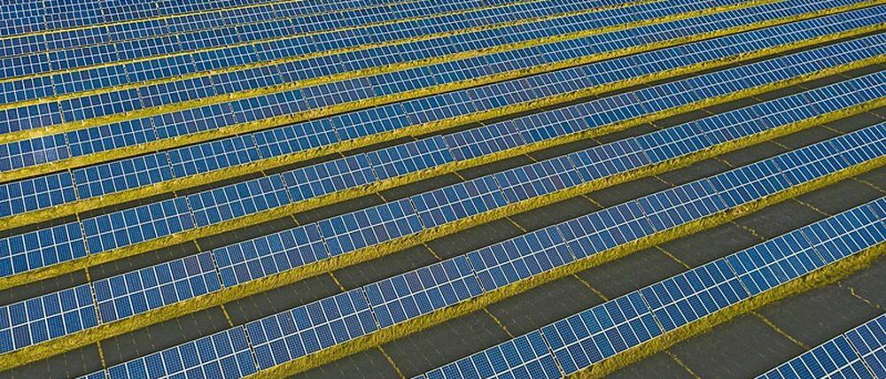 Ökologischer Umbau. EnviaM investiert in fünf neue Solarparks.