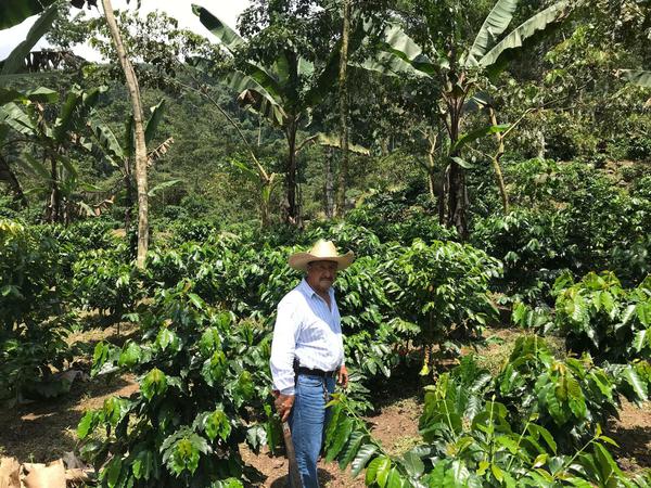 Kaffeebauern wie Jose de Leon aus Guatemala sind vom Preis am Weltmarkt abhängig. 