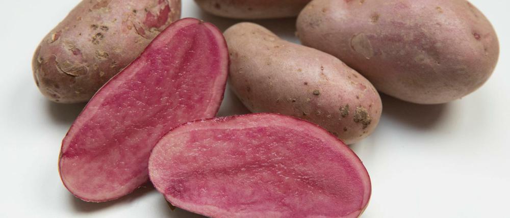 Wie kann sichergestellt werden, dass in der Bio-Kartoffel auch bio drin ist? Die Kartoffel des Jahres 2018 namens "Rote Emmalie".