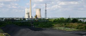 Steinkohle lagert im Kohlehafen neben dem Kohlekraftwerk Mehrum im Landkreis Peine.