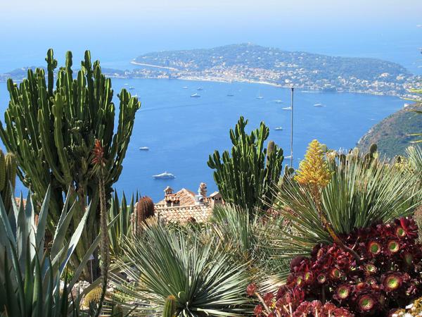 Die französische Côte d’Azur: Auf rund 400 Metern über dem Meer wachsen im Jardin Exotique in Eze unter anderem Kakteen, Sukkulenten, Aloen und Agaven.
