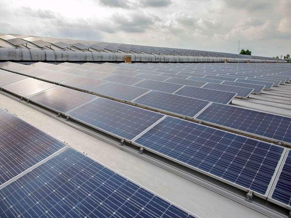 In nur drei Monaten wurden Solaranlagen mit einer Leistung von 4.000 Megawatt installiert. 