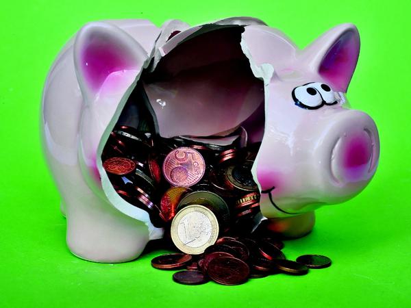 Das Sparschwein muss auch oft mithelfen, die Fortbildung zu finanzieren.